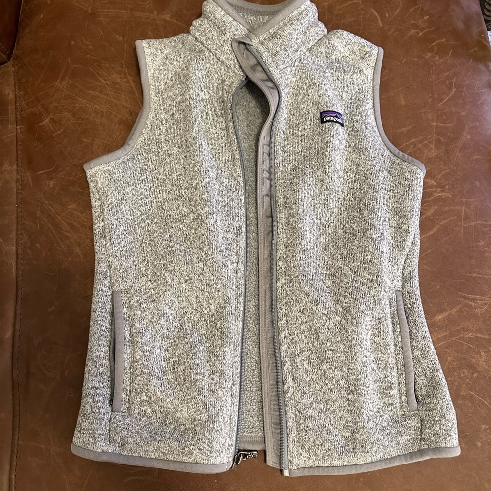 Patagonia Gray Fleece Vest